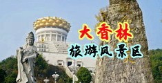 粉红小骚逼视频网站中国浙江-绍兴大香林旅游风景区